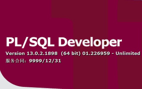 PL/SQL Developer文本导入器使用步骤-十一张