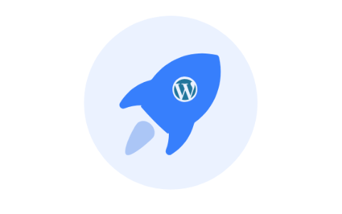 WordPress优化插件 WPOPT v2.0.7-十一张