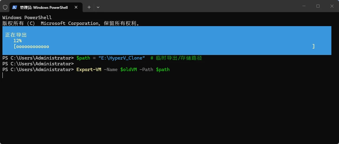 图片[14]-如何在 Hyper-V 服务器中克隆虚拟机 | 导入和导出的方法-十一张