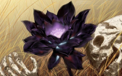 可将电脑变成“肉鸡”的黑莲花病毒(BlackLotus)-十一张