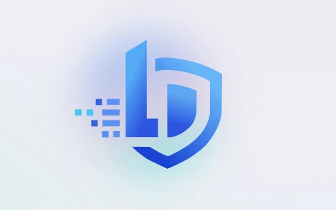流盾 WAF | 面向网站与 Web 应用的智能流量防护系统-十一张