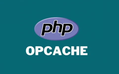 PHP 开启 Opcache 功能提升程序处理效率-十一张