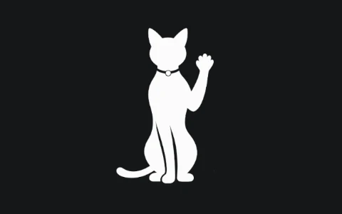 开源免费视频剪辑工具 Concat v0.2.8 安装版-十一张