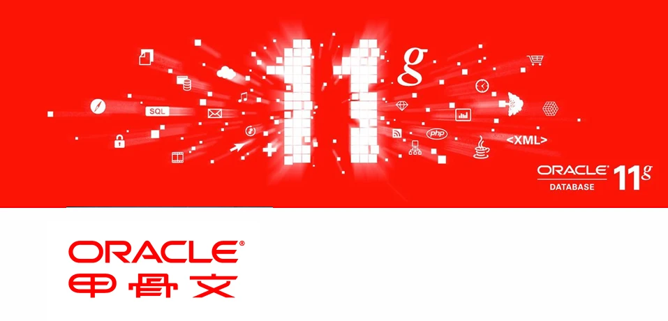 图片[1]-Oracle Database 11g 数据库简介-十一张