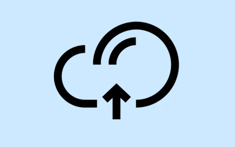 剪贴板同步工具 SyncClipboard v3.2.0 中文绿色版-十一张